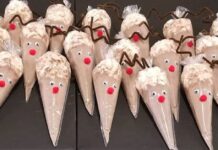 Hot Chocolate Reindeer Pre-Sale Fundraiser Nov 15-21