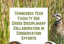 Cohen and Talbert Use Cross Disciplinary Collaboration in Conservation Efforts