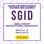 CITL Small Group Instructional Diagnostic Spring 2024