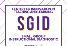 CITL Small Group Instructional Diagnostic Spring 2024