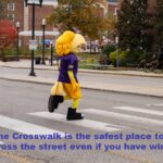 Crosswalk Safety