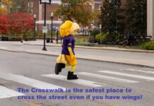 Crosswalk Safety