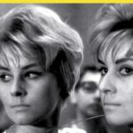 Guest Author Stacey Levine