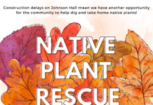 Native Plant Rescue 2024