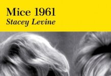 Creative Writing Workshop & Book Reading with Stacey Levine