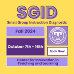 CITL Fall 2024 Small Group Instructional Diagnostics