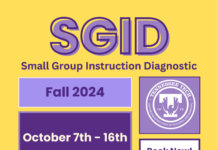 CITL Fall 2024 Small Group Instructional Diagnostics