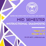 Spring 2025 Mid Semester Instructional Diagnostics
