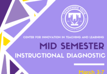 Spring 2025 Mid Semester Instructional Diagnostics