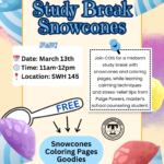 Study Break Snowcones