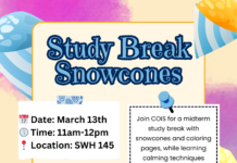 Study Break Snowcones