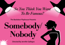 Somebody/Nobody at the Backdoor Playhouse