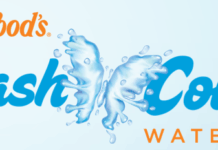 Dollywood Splash Country Summer Discount