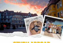Study Abroad Fair