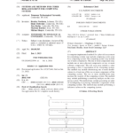 Patent Granted for Cyber Risk Assessment System
