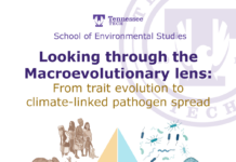 SOES Seminar Presented by: Dr. Jara – Looking through the Macroevolutionary lens