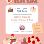 Women in Cybersecurity Bale Sale