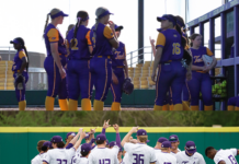 Home Baseball and Softball