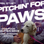 Pitchin for Paws – Tech Softball Dog Food Drive
