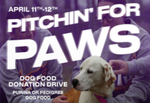 Pitchin for Paws – Tech Softball Dog Food Drive