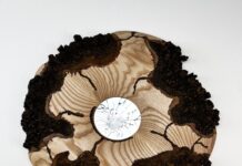 Metastasis: Angela Van Wiltenburg Senior Thesis Exhibition