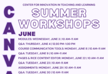 Canvas Summer Workshops