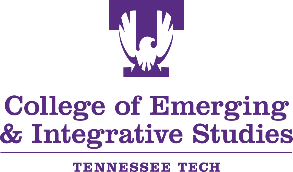 Opening in the College of Emerging & Integrative Studies