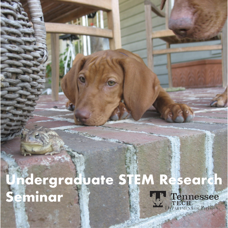 Undergraduate STEM Research Seminar: Levi Cullen (ME/NE) and Atlas Mannen (Phys)