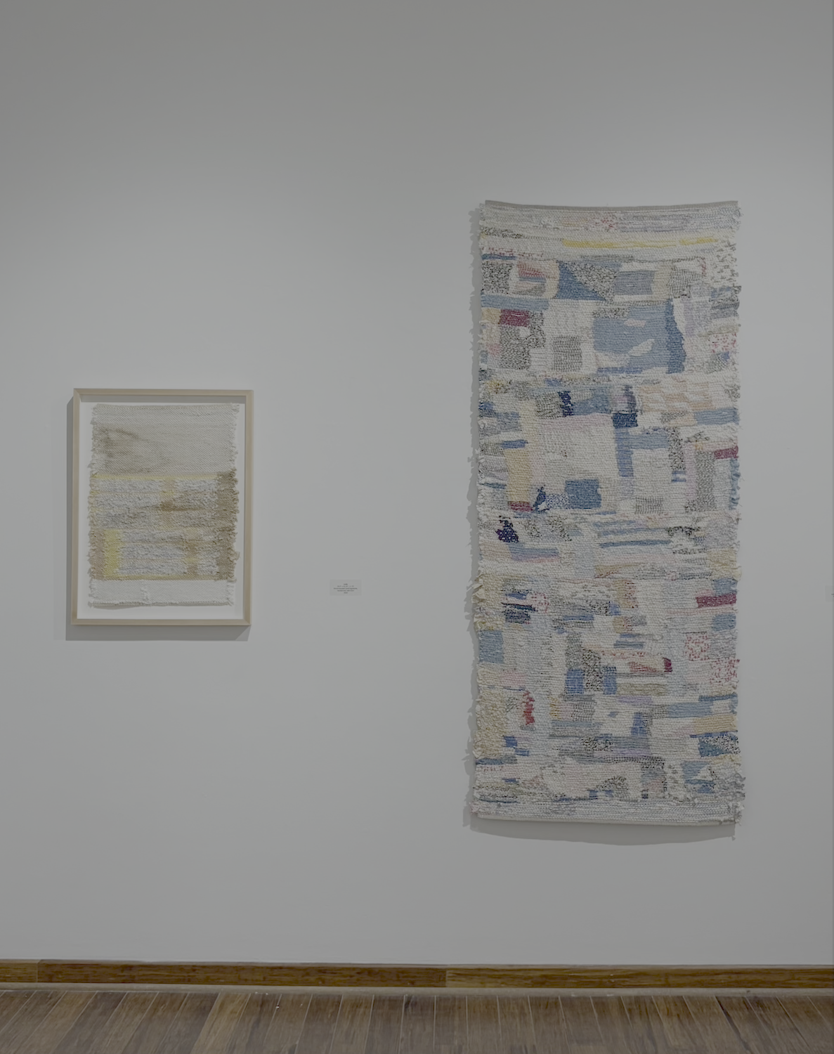 Rachel Meginnes Gallery Talk & Reception